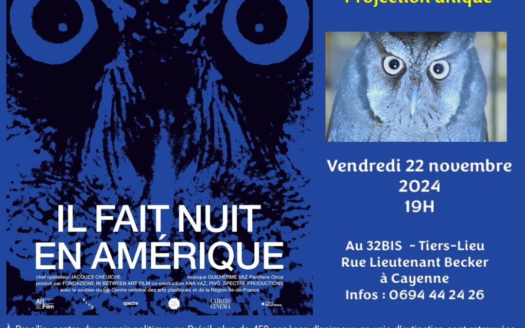 Soirée projection « Il fait nuit en Amérique » – un film de Ana Vaz